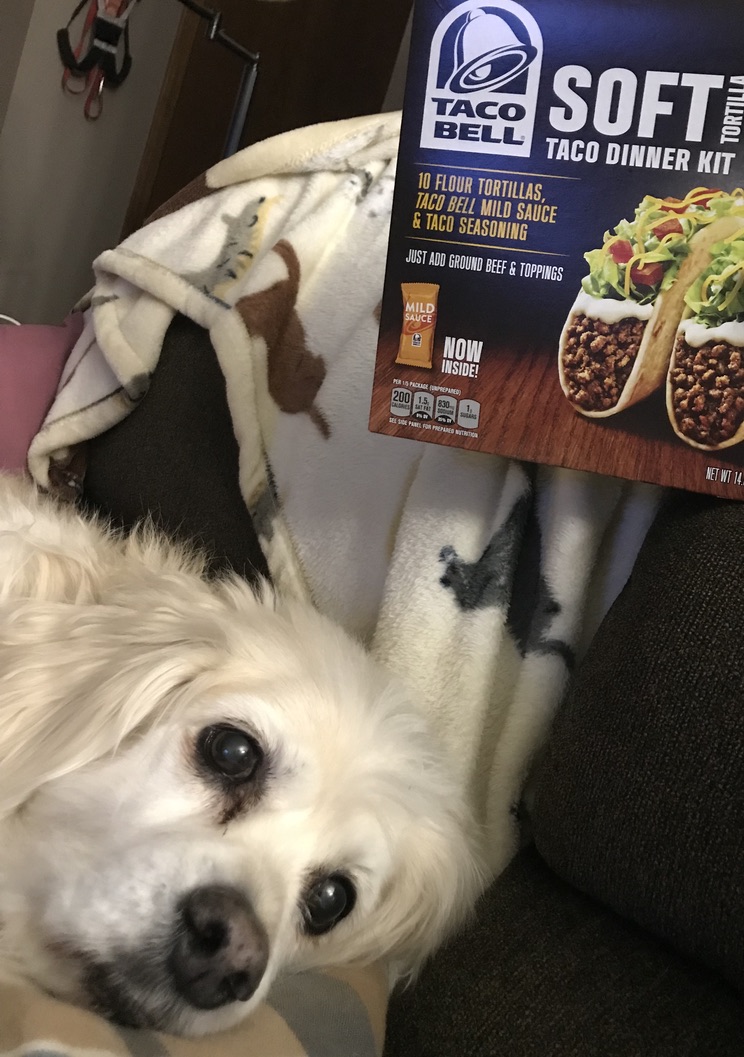 Dog laying on couch with a box of Taco Bell kit above his head