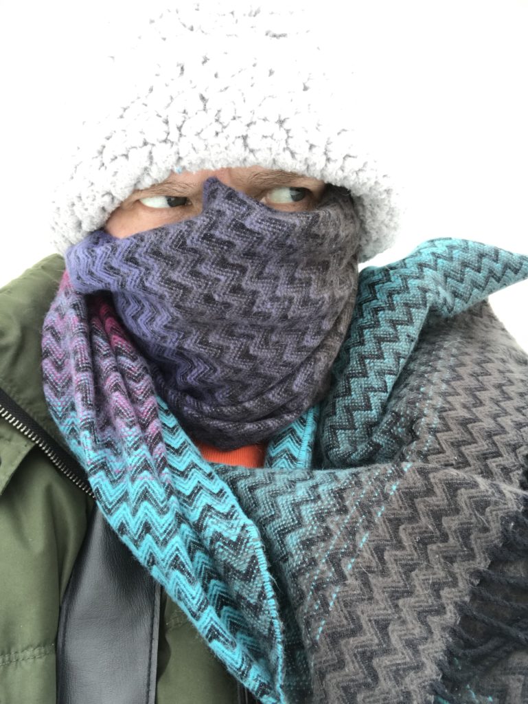 persons with winter hat and face all wrapped up in a scarf