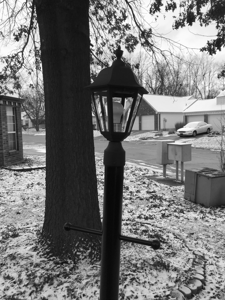 Light post and tree with street and houses in background