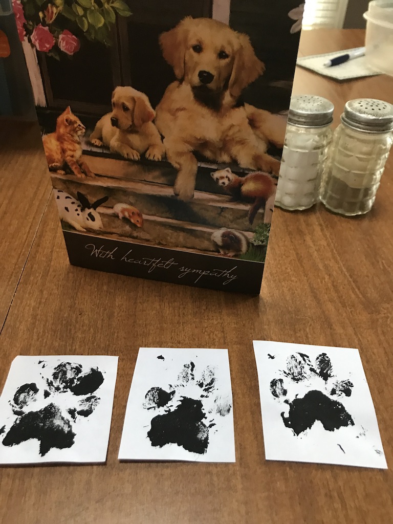 Dog paw prints inked on paper laid out on a table with a sympathy card behind it. 