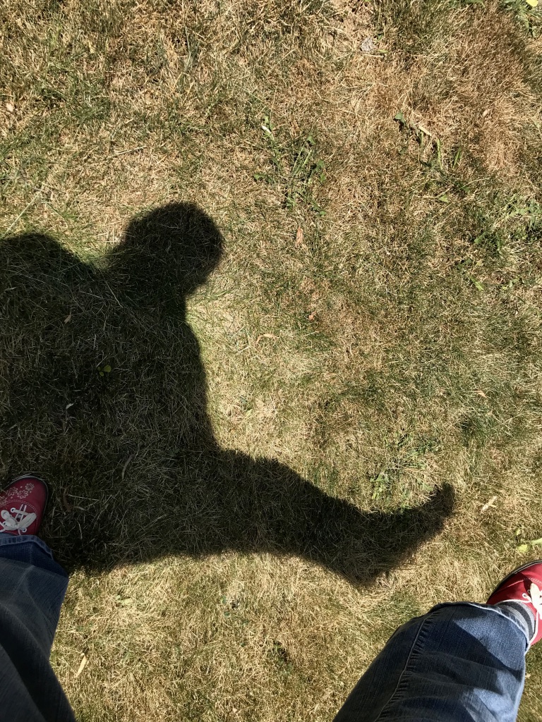 Shadow of a person on dry grass