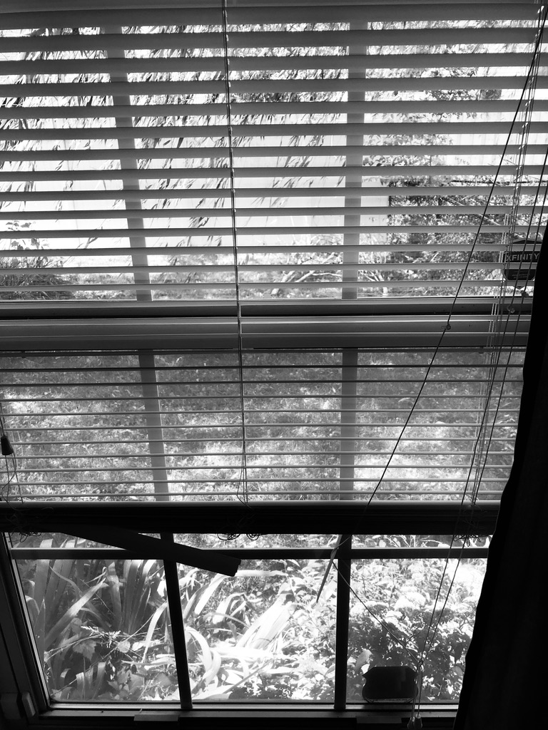 Vertical blinds in  a window that are broken.