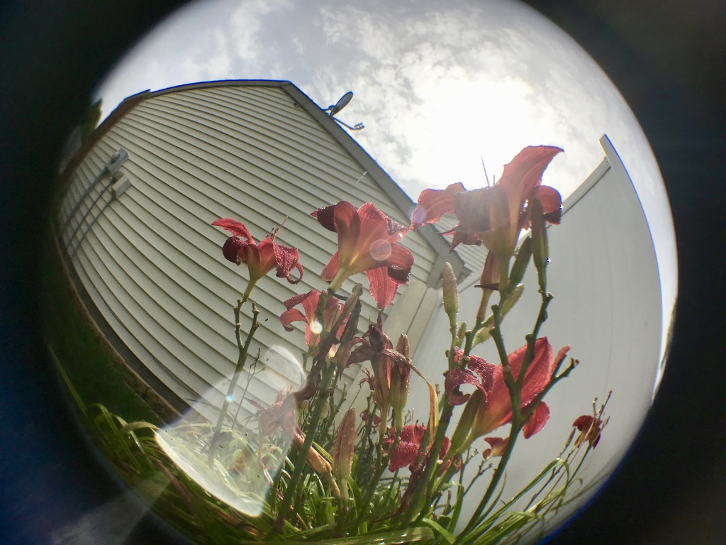 Round bubble distorting a house and flowers with a sunny sky