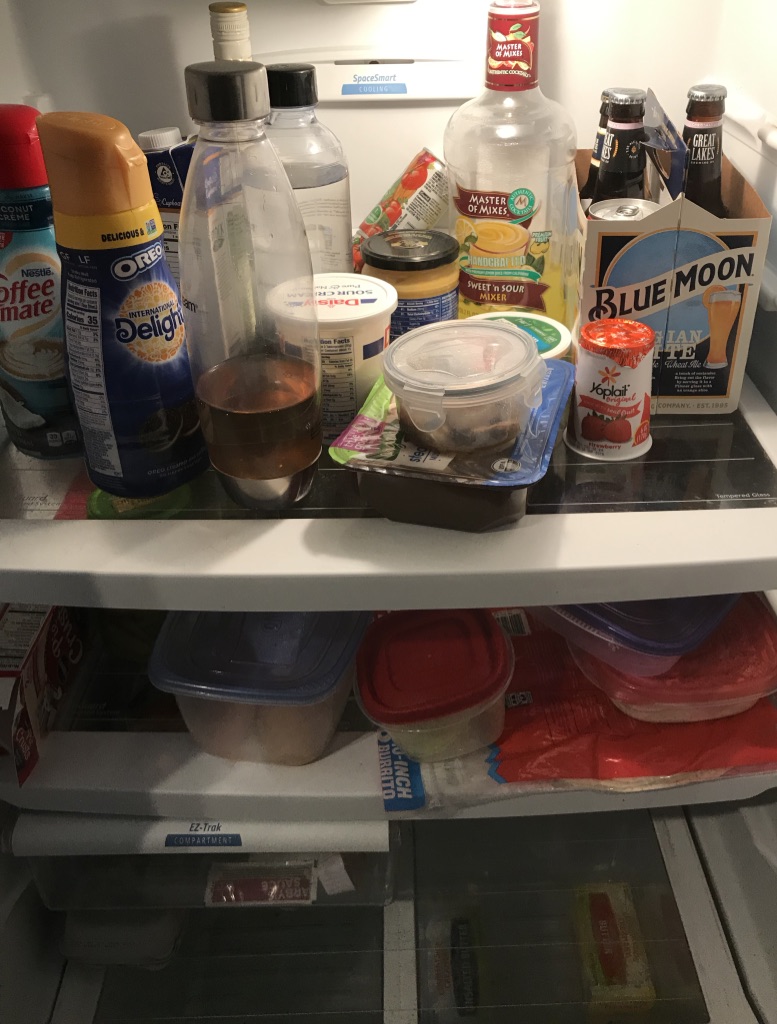 inside a messy refrigerator with your average stuff.