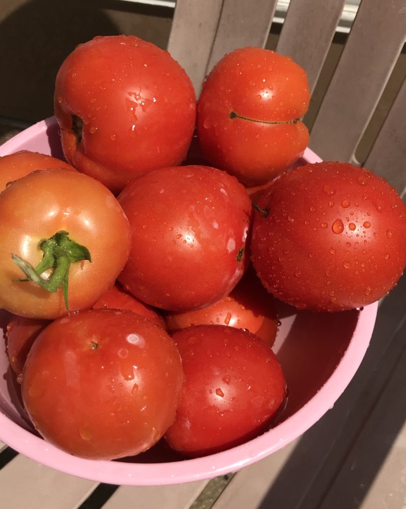 A bowl of red tomatoes