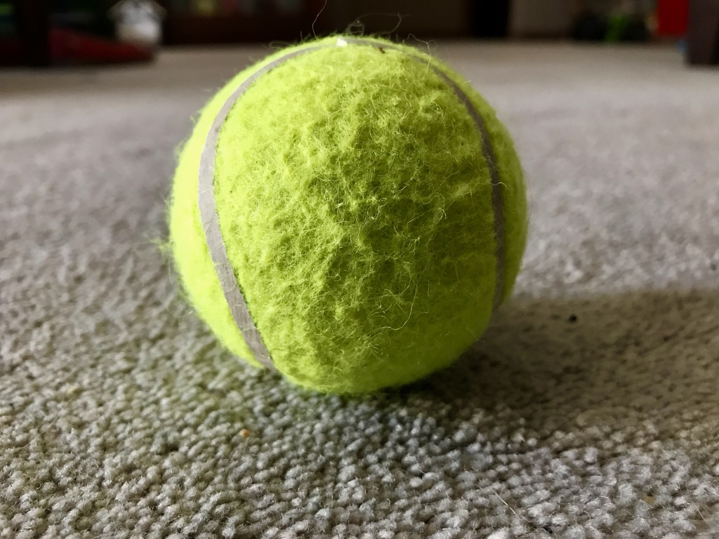 A tennis ball on the floor