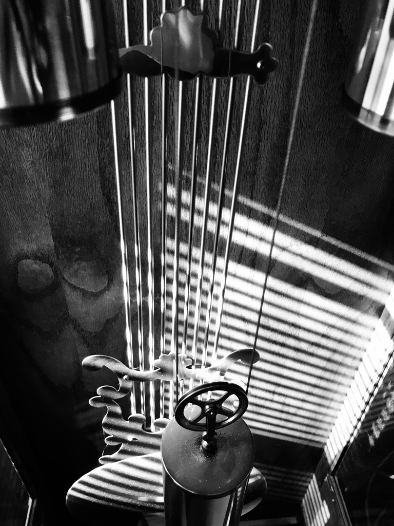 Bright sun shining on the inside of a grandmother clock with the pendulum and weights.