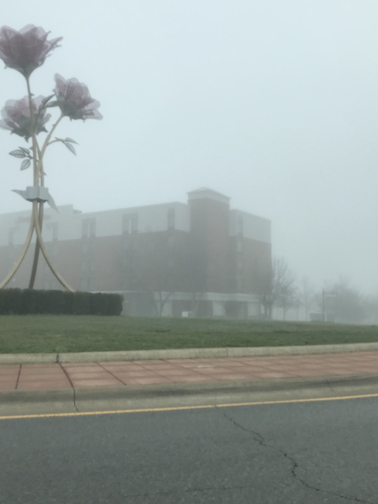 Foggy day with building and large flower sculpture